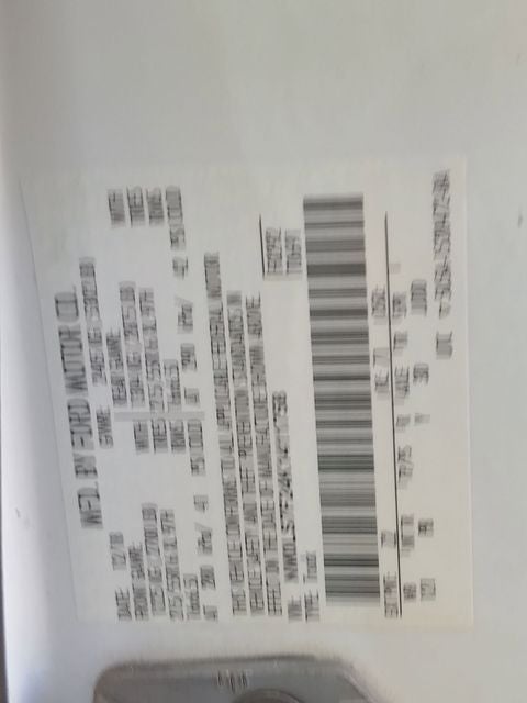 2019 Ford Transit Connect XLT